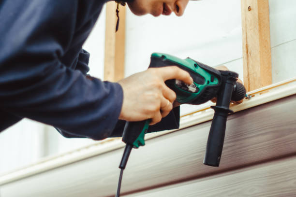 Best Vinyl Siding Installation  in Taylorvle, IL